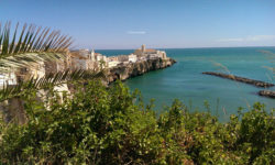 Vieste